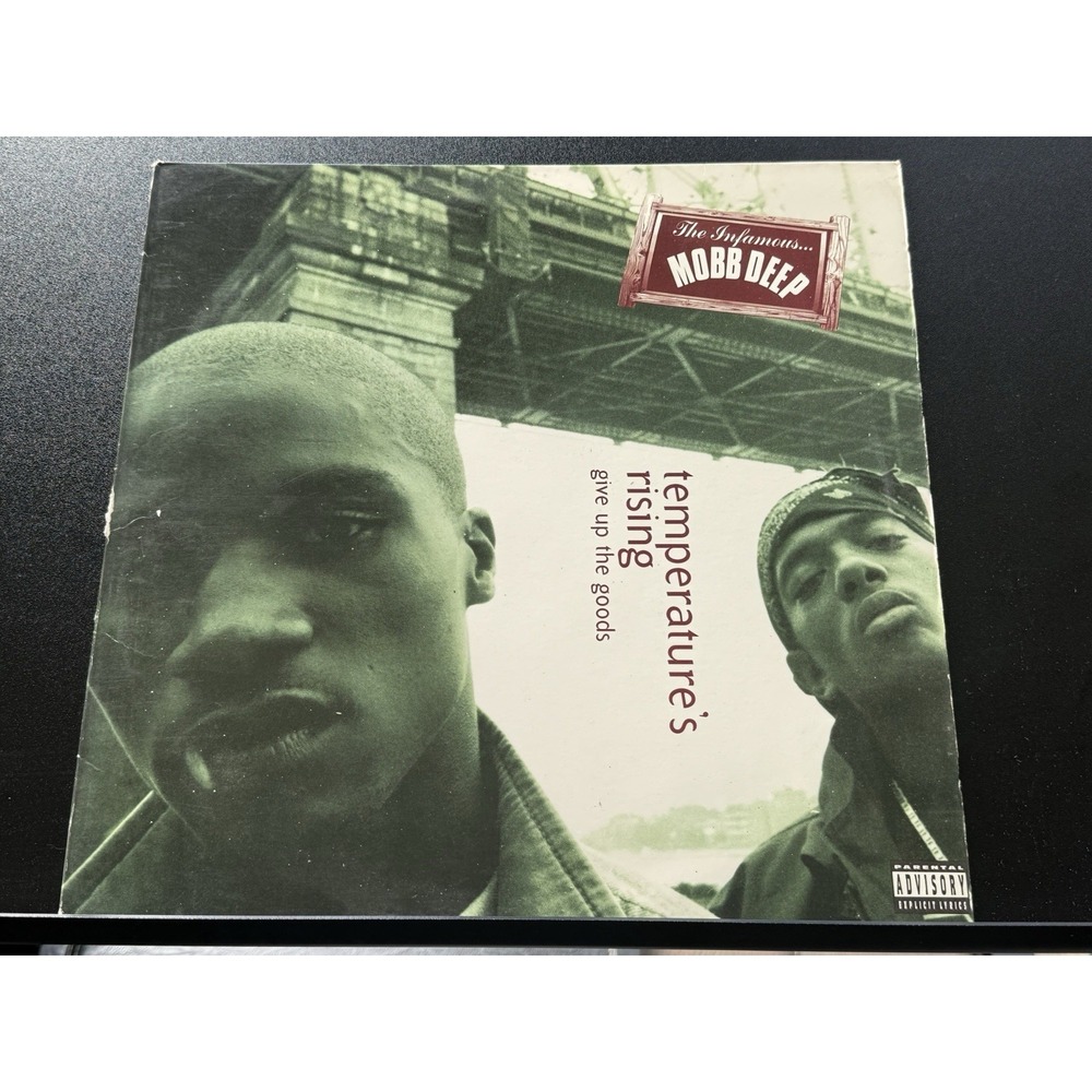 Mobb Deep: Temperature's Rising, 1995 Vinyl Record LP Album VG+